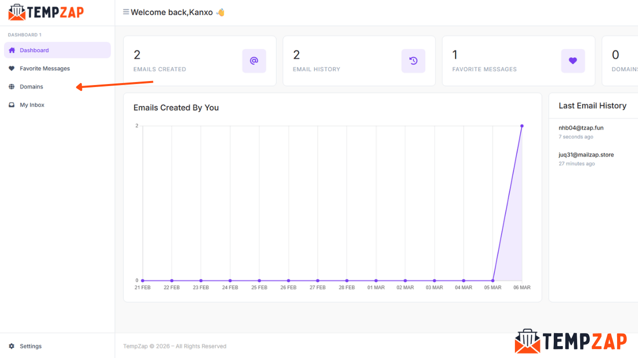 TempZap dashboard showing domain management section